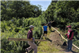 Alex Flynn, Historical Marker and Trail Enhancement 2018 Project, Trail Work
