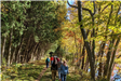 Boroughs Loop Trail Guided Hike - October 19, 2019