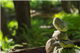 Stack of Rocks on Trail