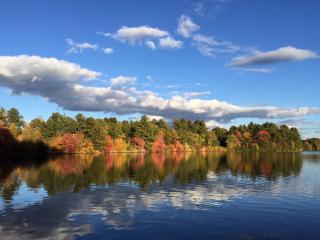Autumn Trees Under a Blue Sky Reflected in Lake