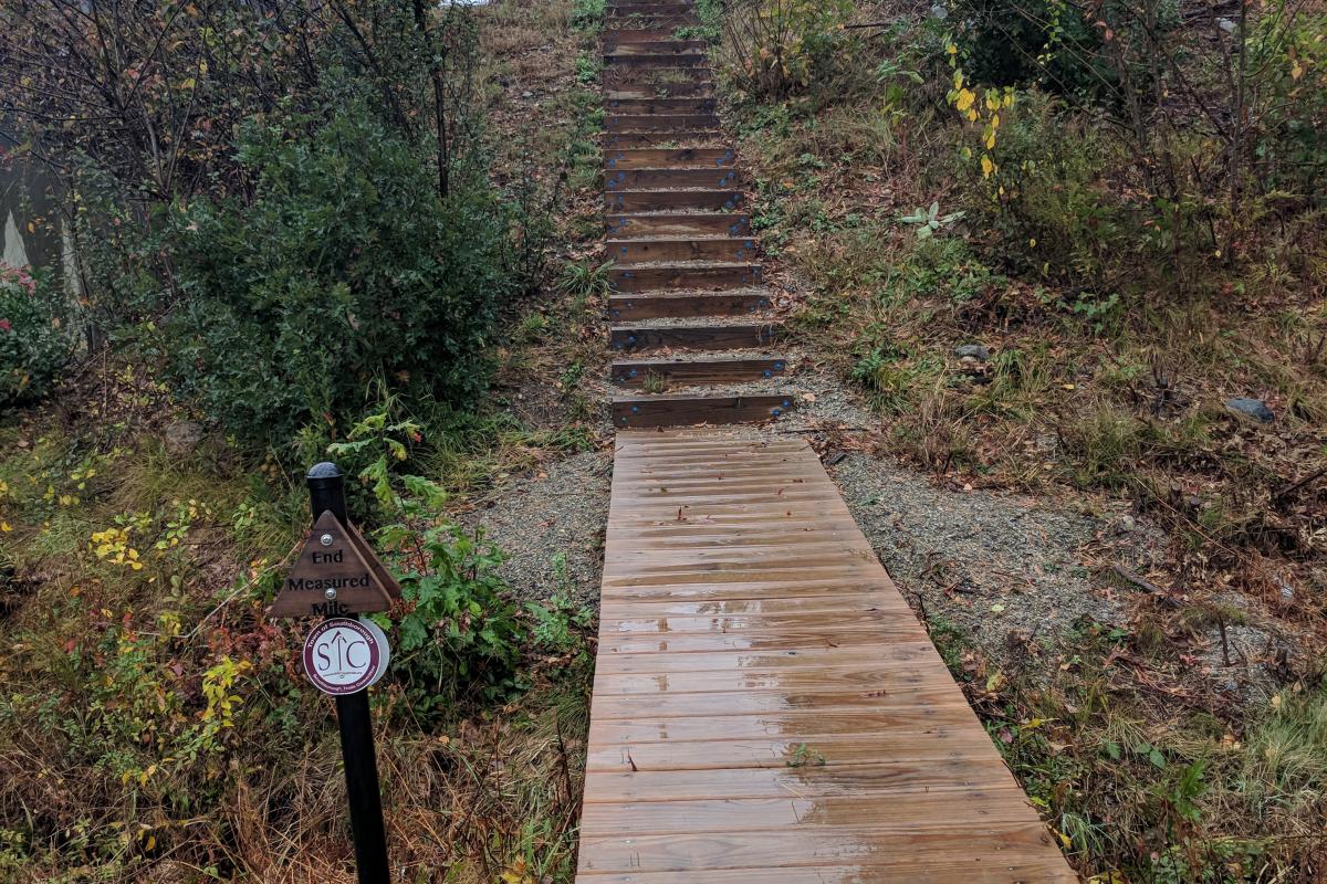 Alex Zalev, Sudbury Reservoir Trail Stairs on the south side of Route 30, Finished
