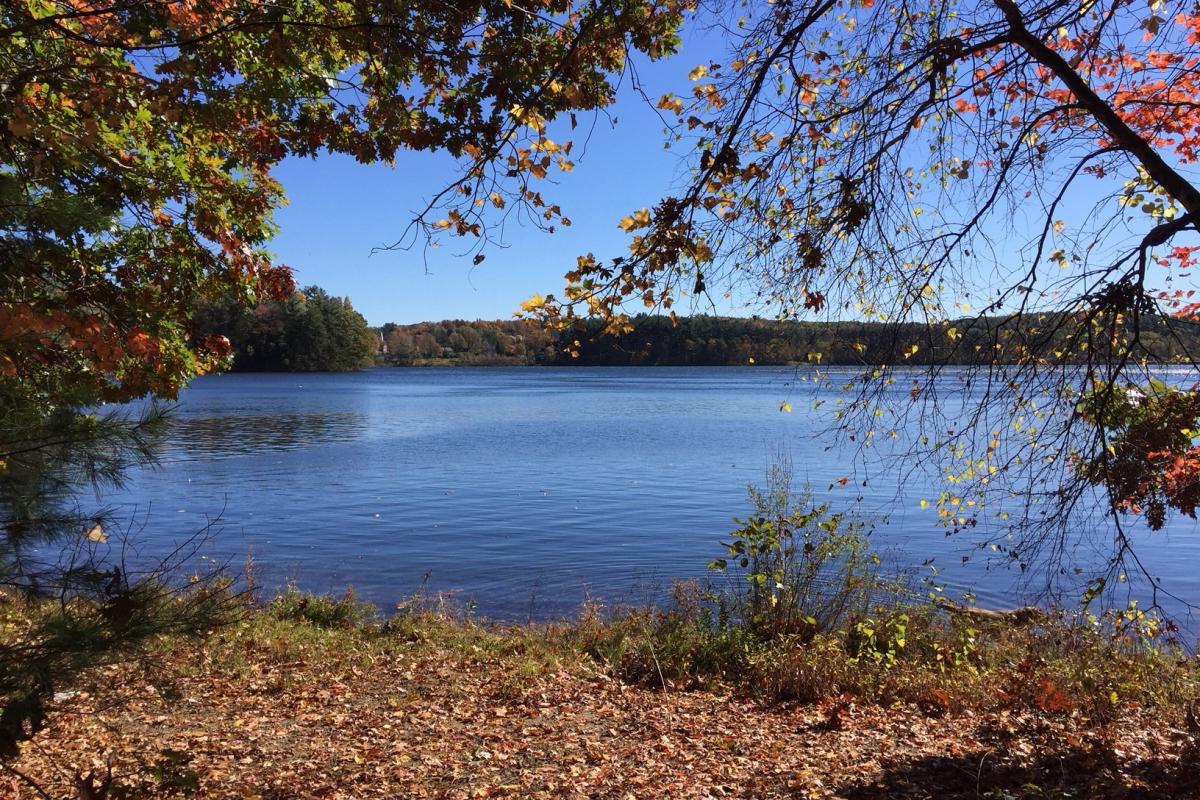 Sudbury Reservoir Trail - Latasquama Road