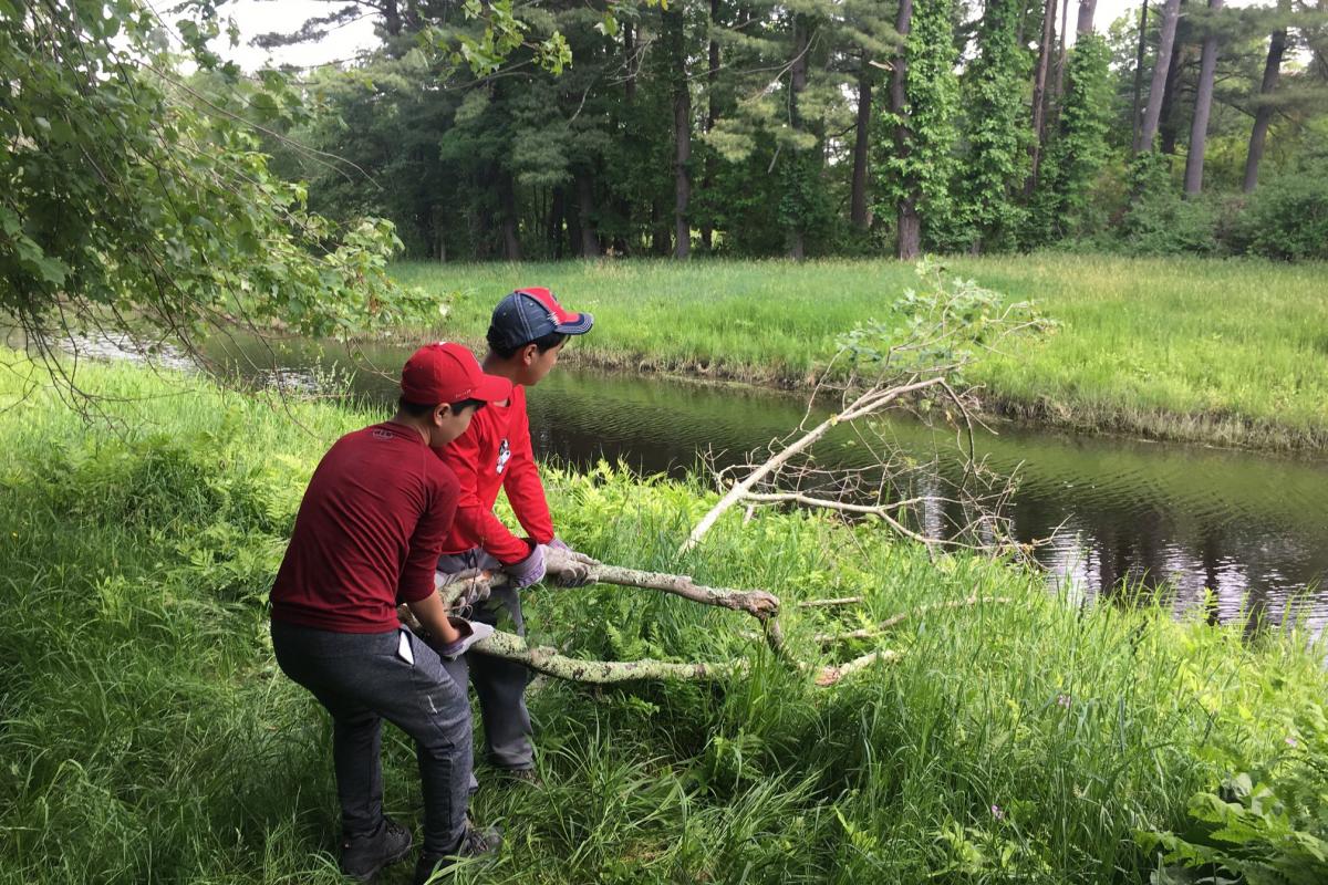 Troop 92 Community Service 2018 Trail Tree Debris Clean Up Day SRT Off Northboro Road