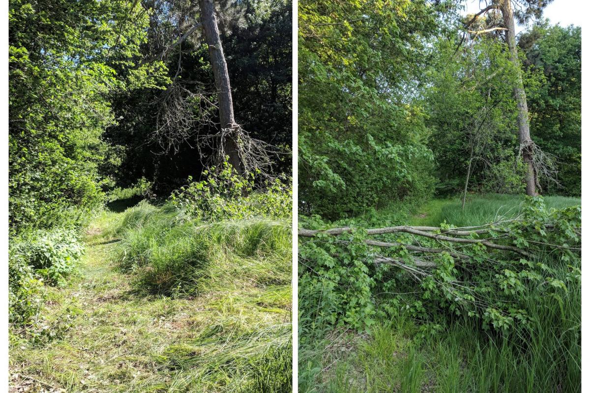 Troop 92 Community Service 2018 Trail Tree Debris Clean up Day, Before and After SRT Off White Bagle