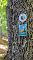 Trail Tag on Tree