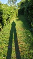 Persons Shadow on Boroughs Loop Trail