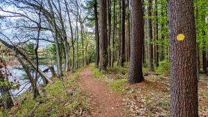 Southborough 911 Loop Trail