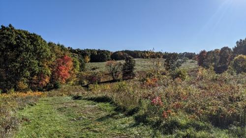 Breakneck Hill Conservation Land