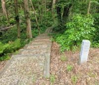 Trailhead near the Town Forest Parking Lot