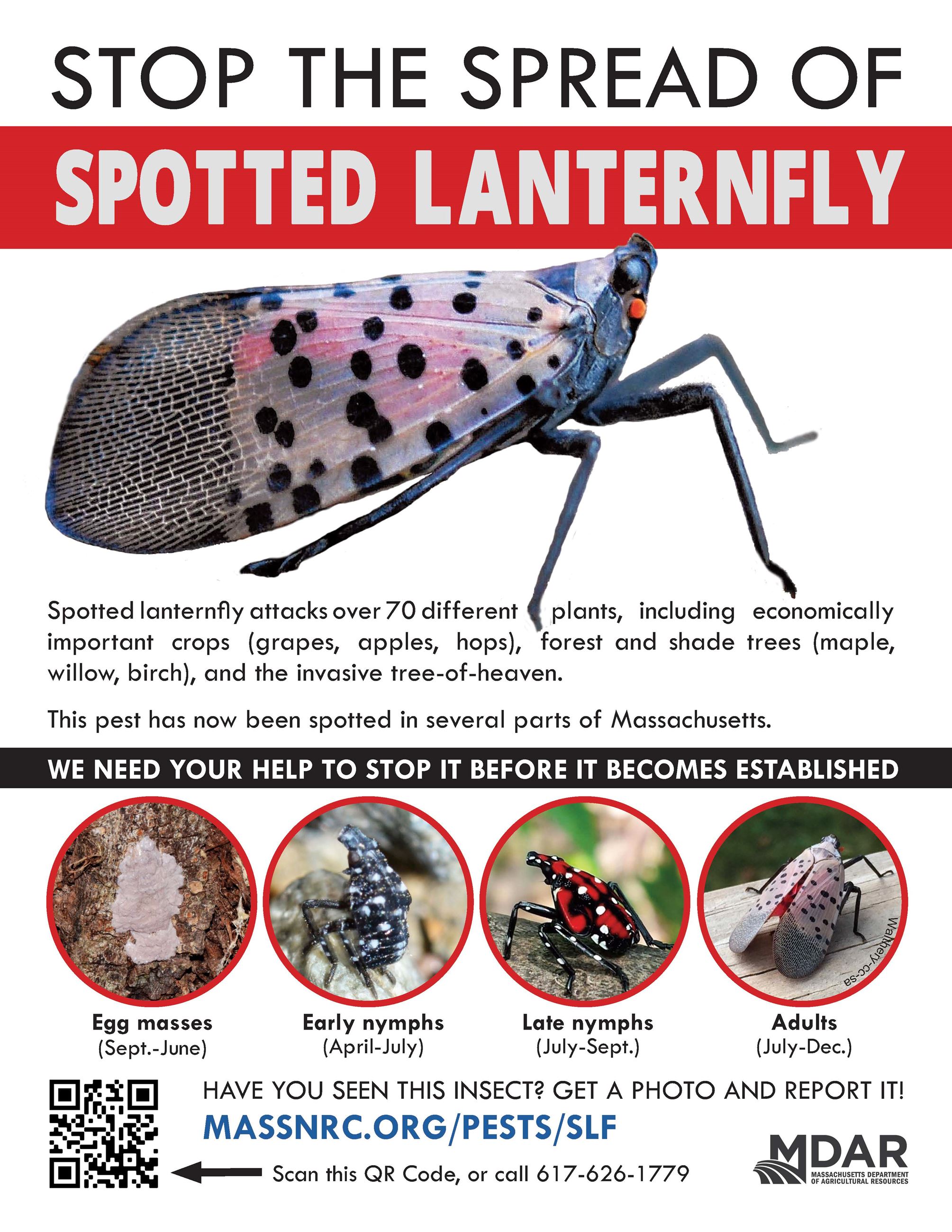 Spotted Lanternfly poster